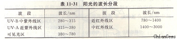 ꖹ�� �չ�Ĳ��L�ֶ�