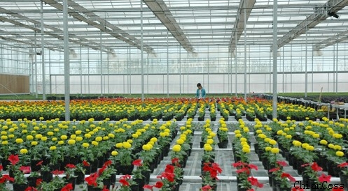 �(y��ng)������