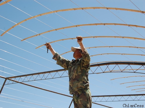 �(y��ng)�����ҽ��O(sh��)�F(xi��n)��(ch��ng)