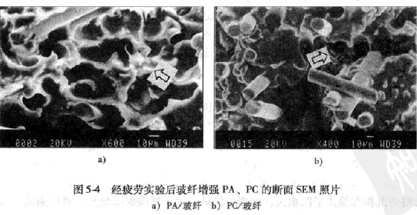 �D5-4��(j��ng)ƣ�ڌ����w����������Ĕ���SEM��Ƭ