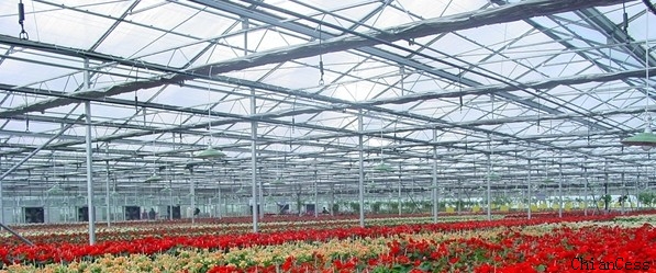 ɽ�|�I��pcꖹ�����չʾ�^(q��)