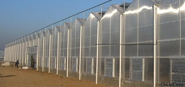 8mm�(y��ng)������ڜ��Ҳɹ��?sh��)�չʾ�D