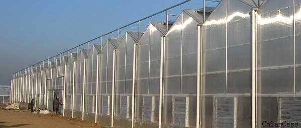 8mmꖹ����Ҵ���DƬ