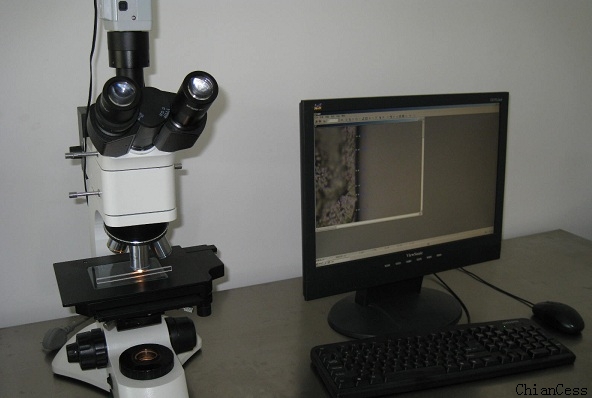 UV��șz�y�x�����ڙz�y�õ�������