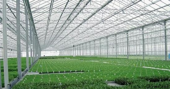 �M(j��n)��ԭ�����a(ch��n)�ķ���¶�(y��ng)����ڜ����ИI(y��)�đ�(y��ng)��