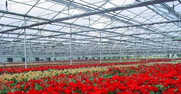 �(y��ng)�����ҹ��̰���չʾʾ��D