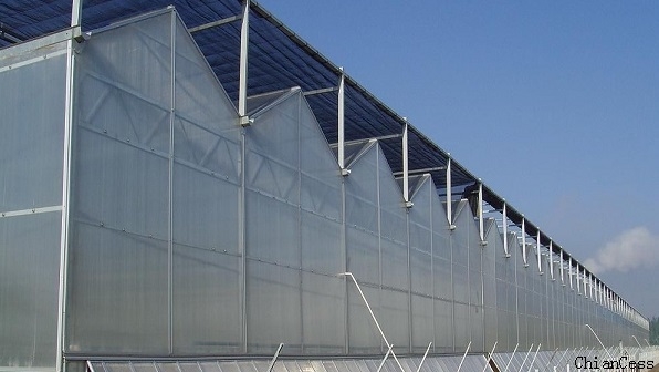 pc����ҽ��ɺ��չʾ�D