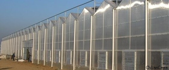 ɽ�|(li��n)���(y��ng)������ܜ���չʾ�D